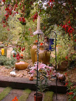 wpe4B.jpg (19908 bytes)